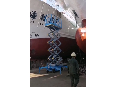 港口升降机客户案例